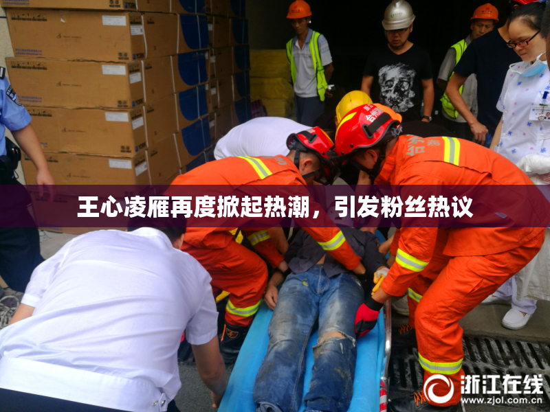 王心凌雁再度掀起热潮，引发粉丝热议