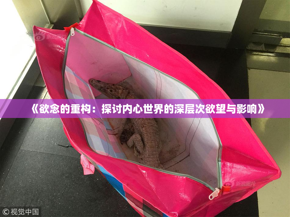 《欲念的重构：探讨内心世界的深层次欲望与影响》
