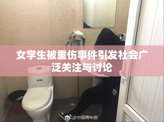 女学生被重伤事件引发社会广泛关注与讨论