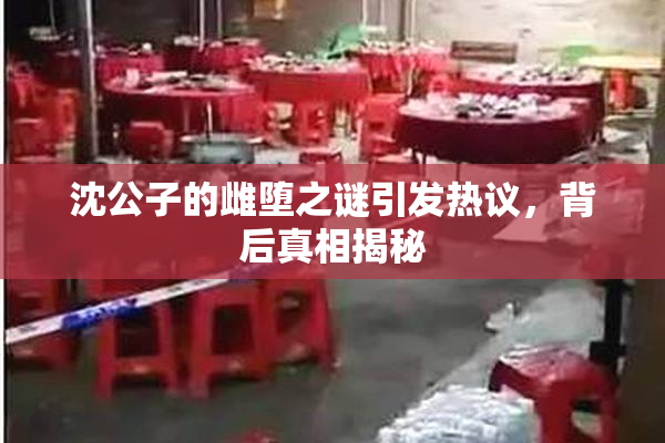 沈公子的雌堕之谜引发热议，背后真相揭秘