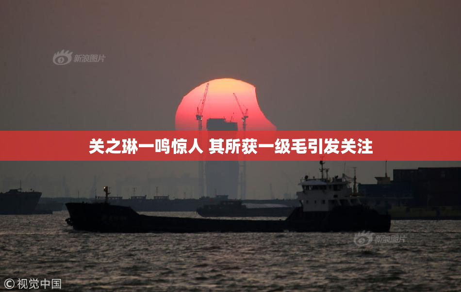 关之琳一鸣惊人 其所获一级毛引发关注