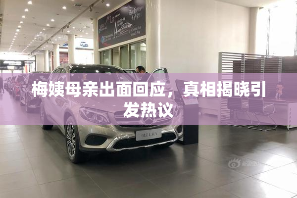 梅姨母亲出面回应，真相揭晓引发热议