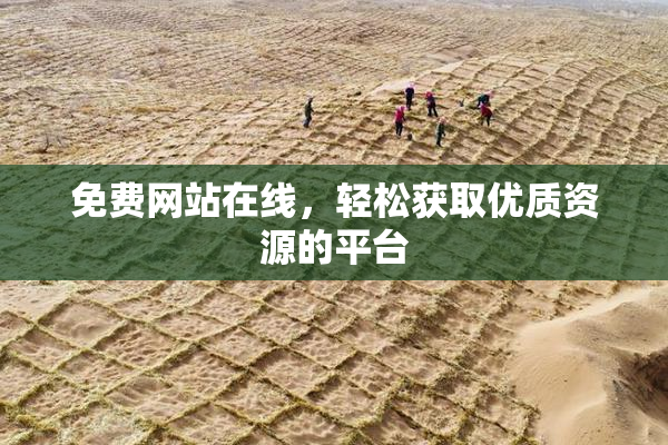 免费网站在线，轻松获取优质资源的平台