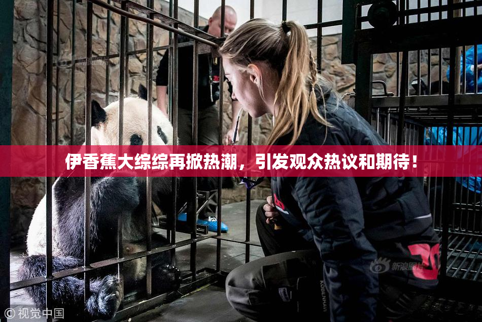 伊香蕉大综综再掀热潮，引发观众热议和期待！
