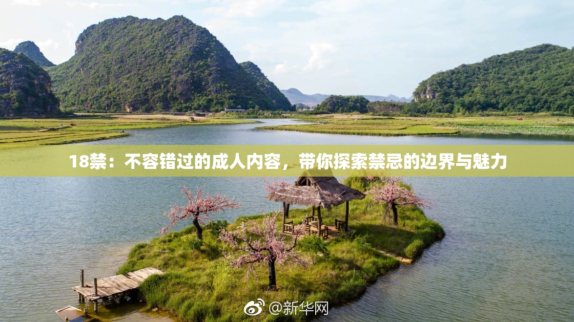 18禁：不容错过的成人内容，带你探索禁忌的边界与魅力