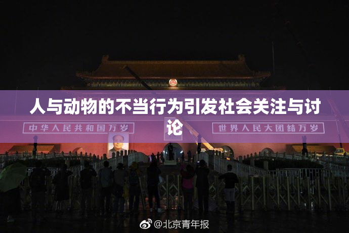 人与动物的不当行为引发社会关注与讨论