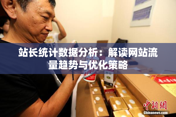 站长统计数据分析：解读网站流量趋势与优化策略