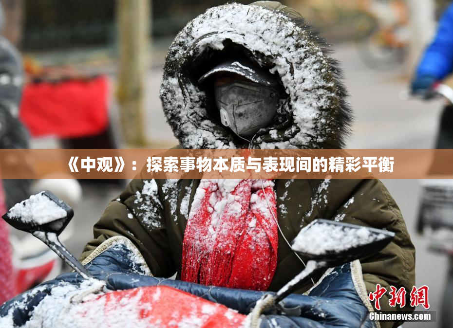 《中观》：探索事物本质与表现间的精彩平衡