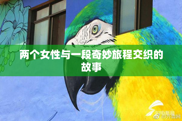 两个女性与一段奇妙旅程交织的故事