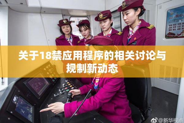 关于18禁应用程序的相关讨论与规制新动态