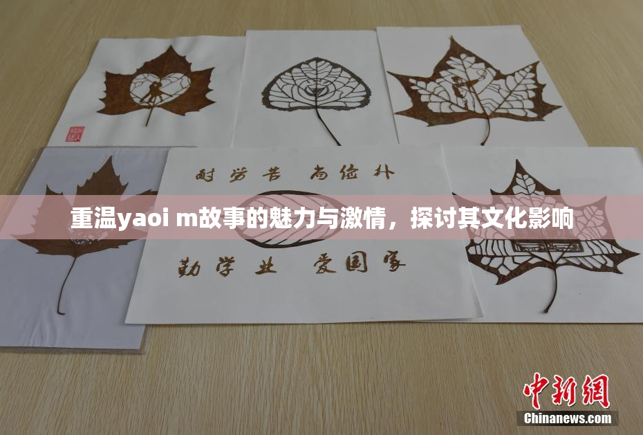 重温yaoi m故事的魅力与激情，探讨其文化影响