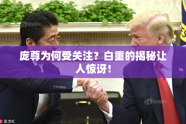 庞尊为何受关注？白重的揭秘让人惊讶！