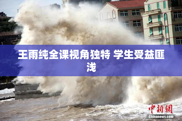 王雨纯全课视角独特 学生受益匪浅