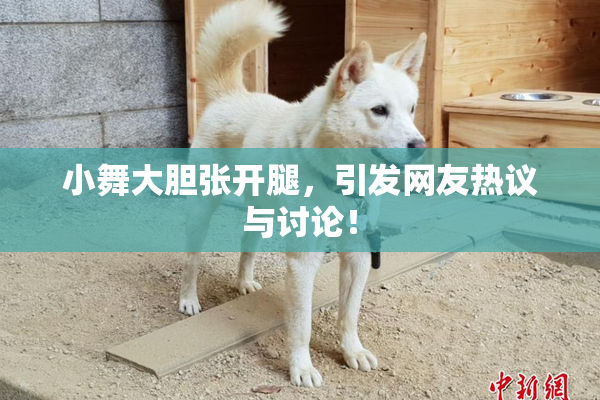 小舞大胆张开腿，引发网友热议与讨论！