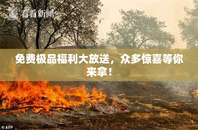 免费极品福利大放送，众多惊喜等你来拿！
