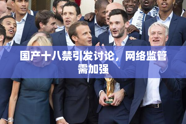 国产十八禁引发讨论，网络监管需加强