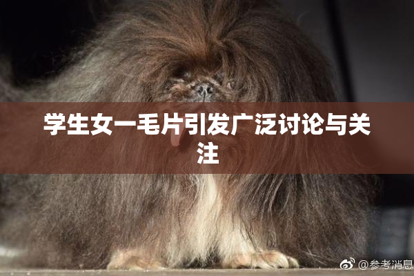 学生女一毛片引发广泛讨论与关注