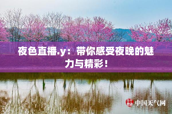 夜色直播.y：带你感受夜晚的魅力与精彩！