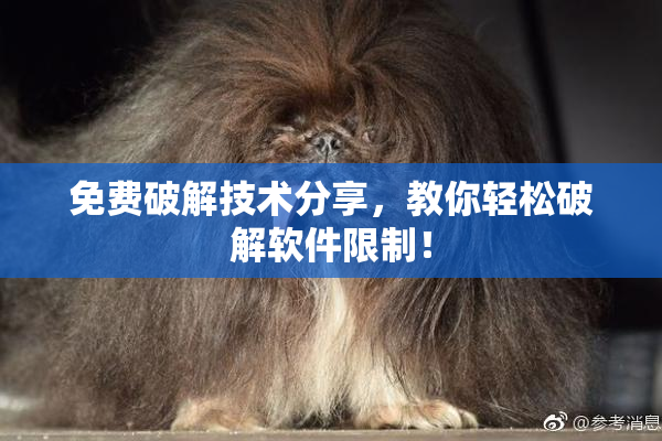 免费破解技术分享，教你轻松破解软件限制！