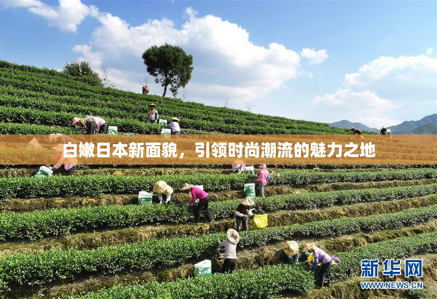 白嫩日本新面貌，引领时尚潮流的魅力之地