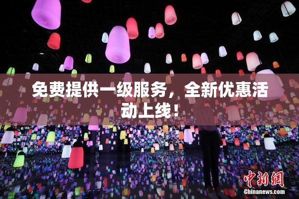 免费提供一级服务，全新优惠活动上线！