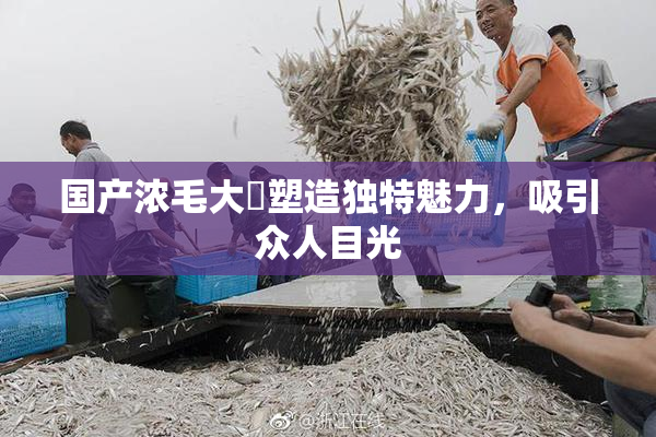 国产浓毛大泬塑造独特魅力，吸引众人目光