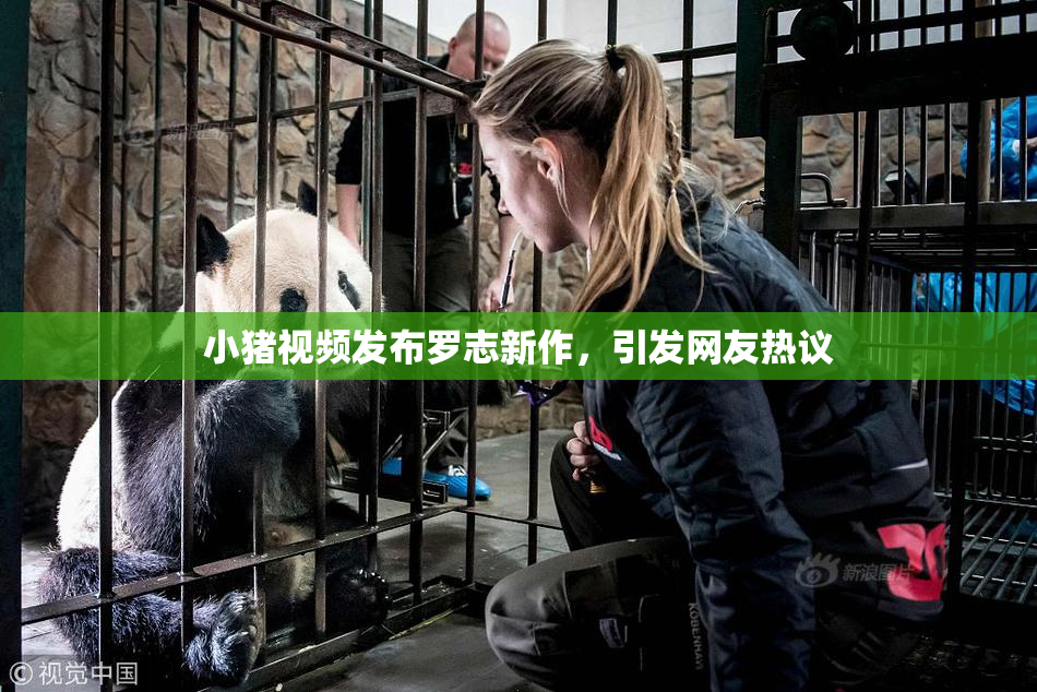 小猪视频发布罗志新作，引发网友热议