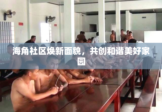 海角社区焕新面貌，共创和谐美好家园
