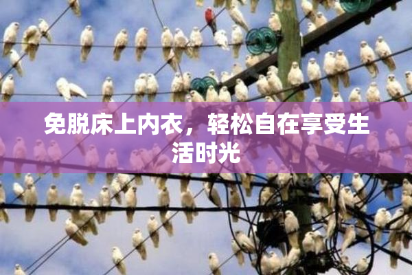 免脱床上内衣，轻松自在享受生活时光