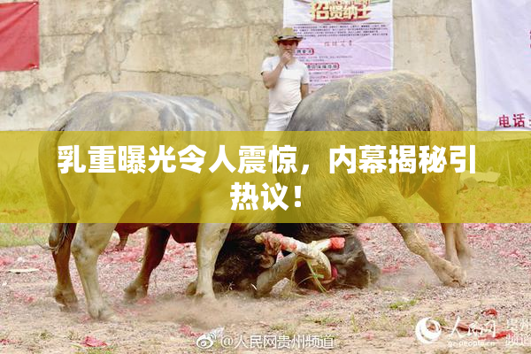 乳重曝光令人震惊，内幕揭秘引热议！