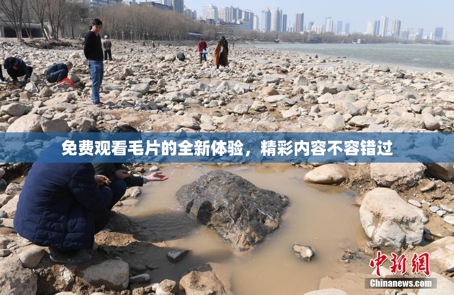 免费观看毛片的全新体验，精彩内容不容错过