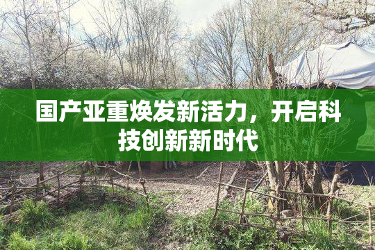 国产亚重焕发新活力，开启科技创新新时代