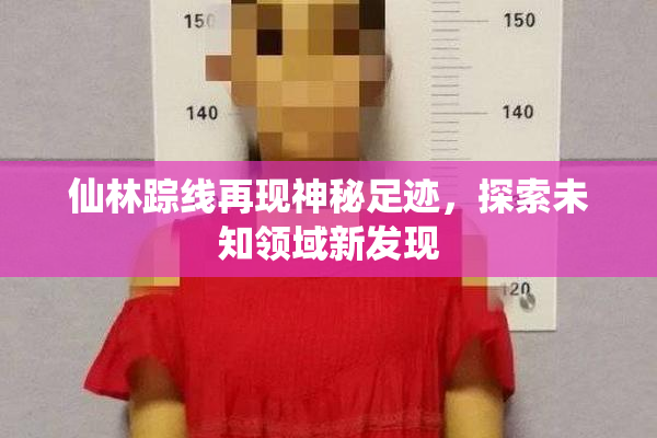 仙林踪线再现神秘足迹，探索未知领域新发现