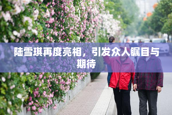 陆雪琪再度亮相，引发众人瞩目与期待