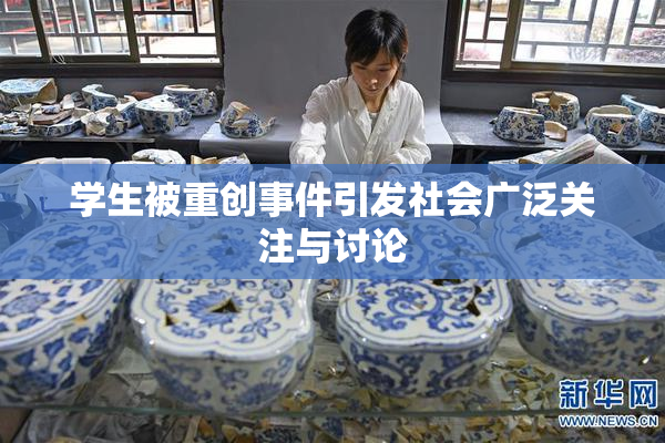 学生被重创事件引发社会广泛关注与讨论
