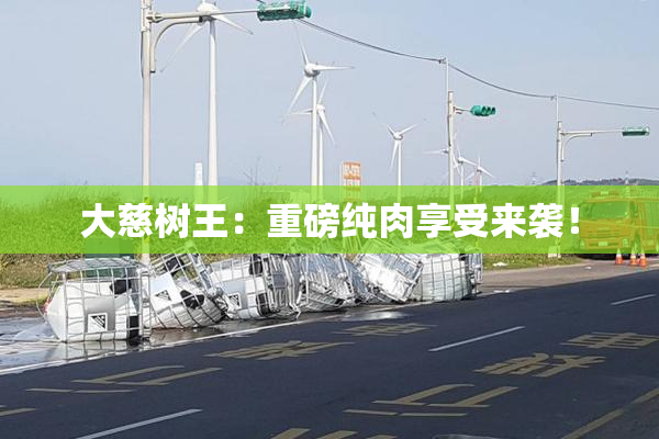 大慈树王：重磅纯肉享受来袭！