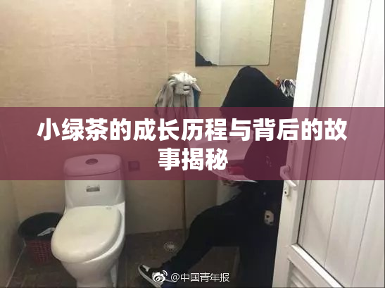 小绿茶的成长历程与背后的故事揭秘