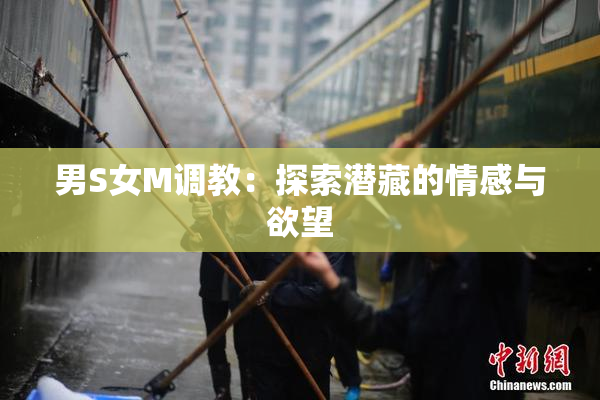 男S女M调教：探索潜藏的情感与欲望