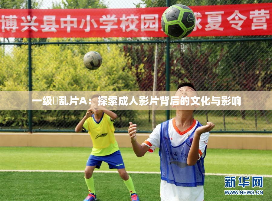 一级婬乱片A：探索成人影片背后的文化与影响
