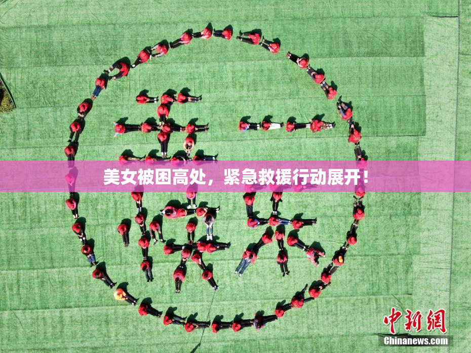 美女被困高处，紧急救援行动展开！
