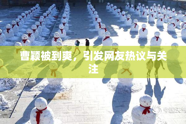 曹颖被到爽，引发网友热议与关注