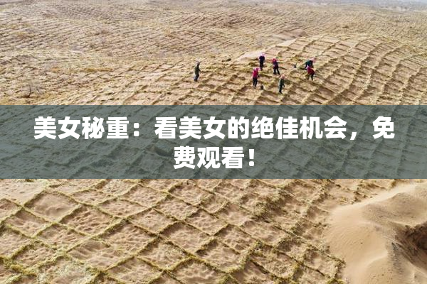 美女秘重：看美女的绝佳机会，免费观看！