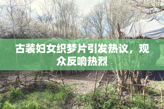 古装妇女织梦片引发热议，观众反响热烈