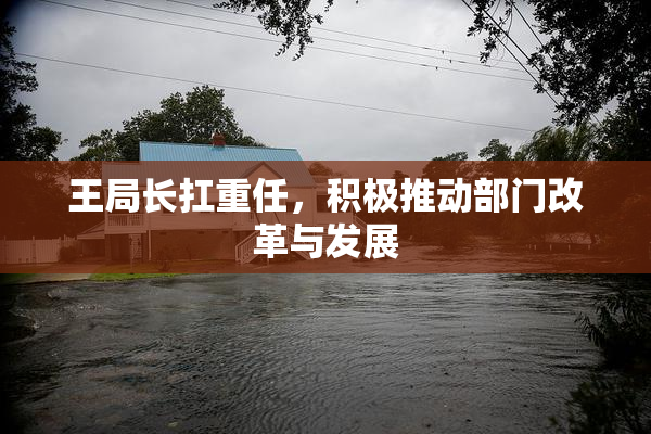 王局长扛重任，积极推动部门改革与发展