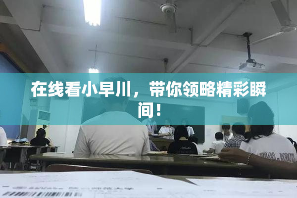 在线看小早川，带你领略精彩瞬间！