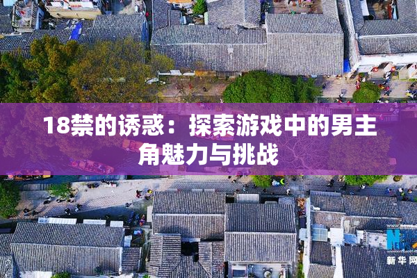 18禁的诱惑：探索游戏中的男主角魅力与挑战