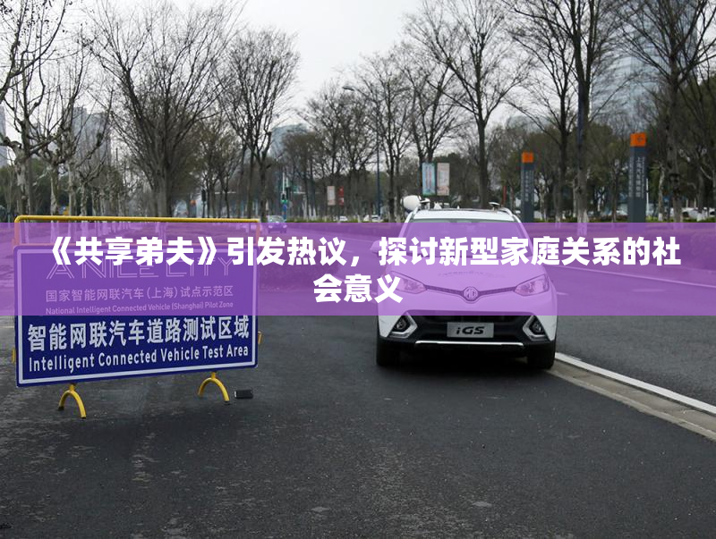 《共享弟夫》引发热议，探讨新型家庭关系的社会意义