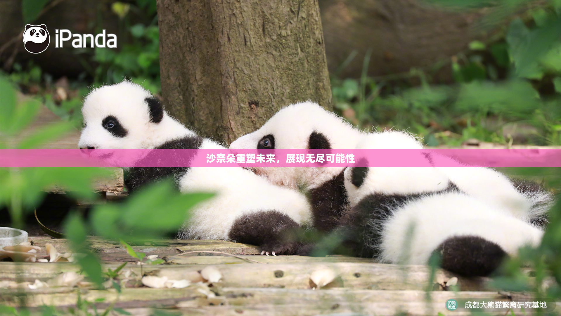 沙奈朵重塑未来，展现无尽可能性