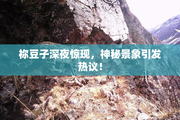 祢豆子深夜惊现，神秘景象引发热议！