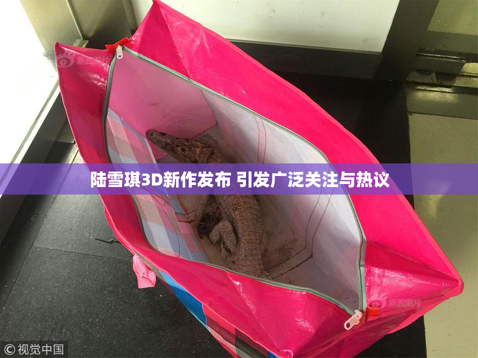 陆雪琪3D新作发布 引发广泛关注与热议